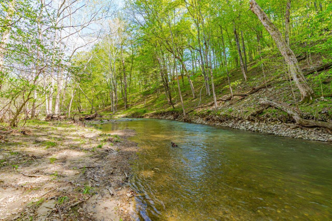 River Access Cabin With Hot Tub, Fire Pit, & Wifi! Morton Grove Exteriér fotografie